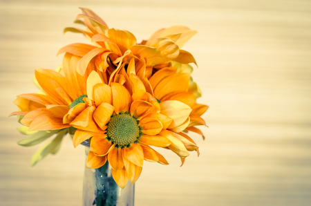 bright chrysanthemum flower detail imageの写真素材