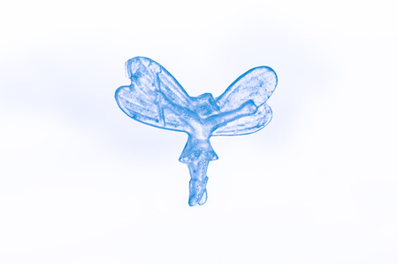 blue transparent fairy image isolated