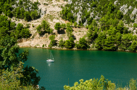 white boat floating on green waterの写真素材