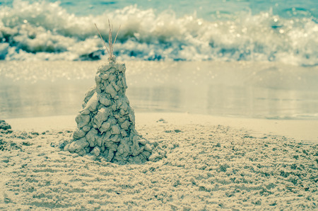 sand tree in the beachの写真素材