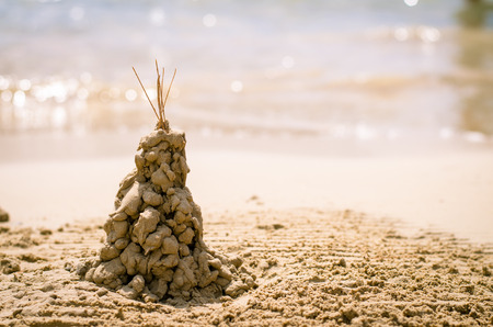 sand tree in the beachの写真素材