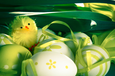 group of green easter eggs and chickenの写真素材