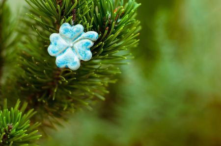 detail of blue clover image