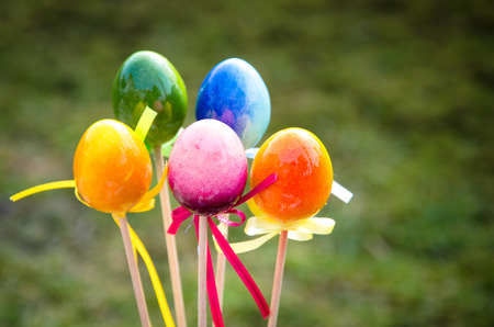 colorful easter eggs decoration image