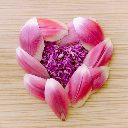 heart shape made of flower petals