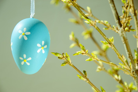 blue easter egg in green twigの写真素材