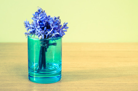 spring violet flowers in blue vaseの写真素材