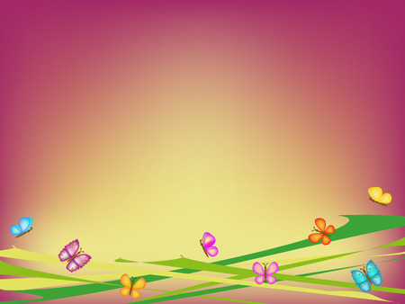 colorful butterfly on pink backgroundのイラスト素材