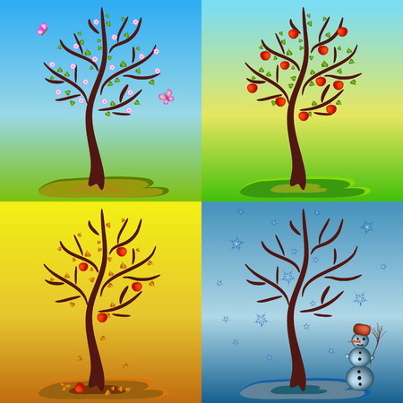 apple tree in four seasons illustrationのイラスト素材
