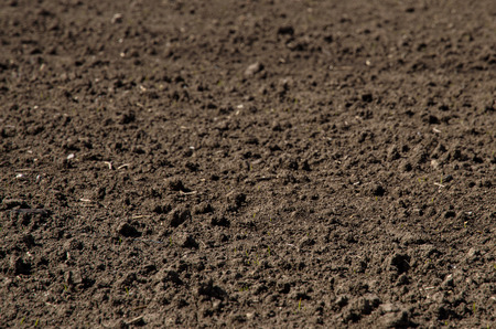 Agricultural soil field imageの写真素材