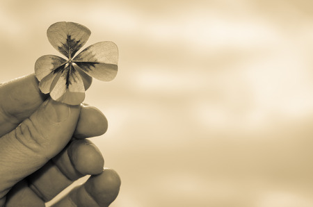 Detail of clover plant in human fingers sepia effect