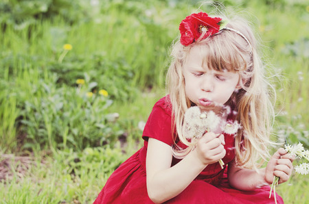 beautiful blond girl blowing dandelionの写真素材