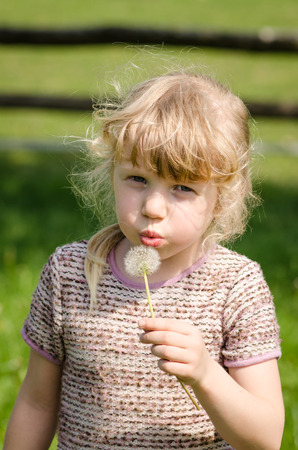 little blond girl blowing white dandelion flowerの写真素材