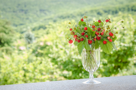 bunch of red wild strawberry with green leaves in a glassの写真素材