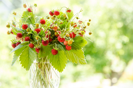 bunch of red wild strawberry with green leaves in a glassの写真素材