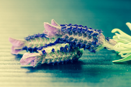 purple lavender flower against black wooden backgroundの写真素材