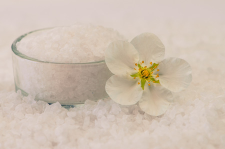white sea salt background image with  white flowerの写真素材