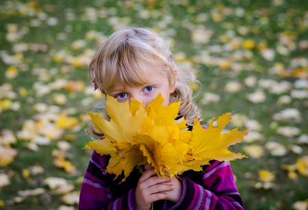 blond child holding a bunch of autumn leavesの写真素材