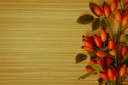 orange briar fruits background imageの写真素材