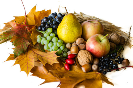 group of colorful autumn fruits