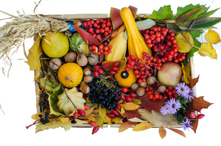 group of colorful autumn fruitsの写真素材