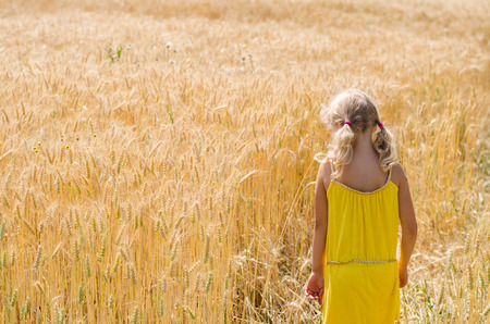blond child with long hair in the rye field back viewの写真素材