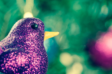 pink bird in green christmas treeの写真素材