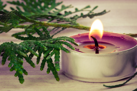 pink burning candlight and green pine branchの写真素材