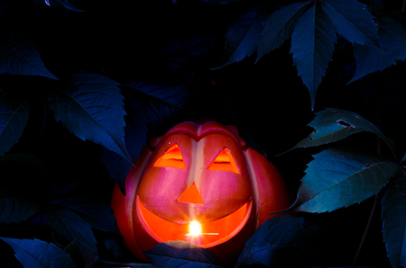 smiling orange halloween pumpkin decorationの写真素材