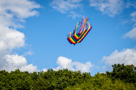 colorful kite flying in blue sky over green treesの写真素材