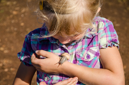little girl watching snails on her handの写真素材