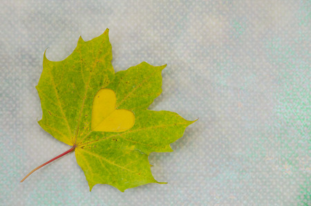 autumn leaf with heart conceptの写真素材