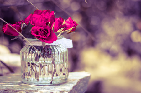 bunch of beautiful pink roses in vaseの写真素材