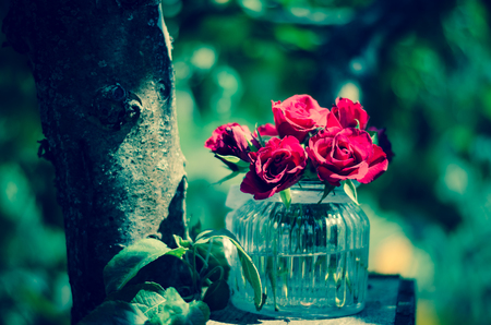 bunch of beautiful red roses in vaseの写真素材