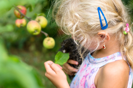 adorable little blond girl holding a bunny rabbit petの写真素材