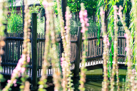 pink flowers with wooden bridge behindの写真素材