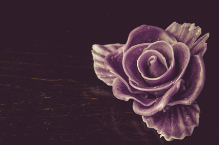 purple rose against black backgroundの写真素材