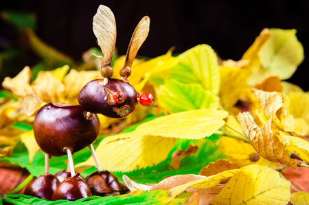cute brown chestnut animal among yellow green autumn leavesの写真素材