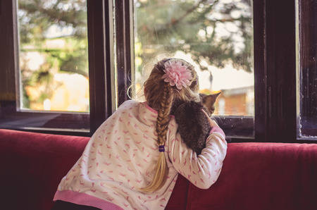 blond little girl holding a cat pet and looking through the window togetherの写真素材