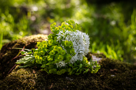 bunch of fresh spring flowersの写真素材