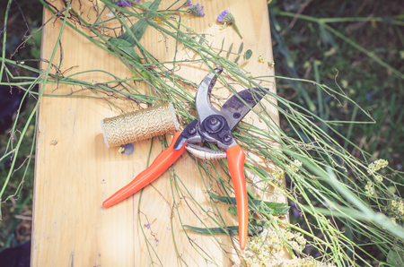 orange scissors and plants prepared for creative adornmentの写真素材