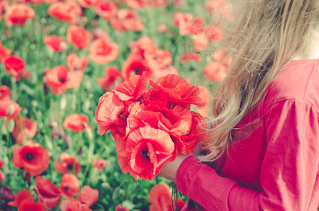 lovely little girl with red poppies in handの写真素材