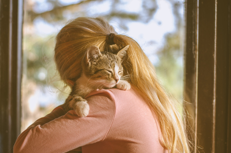 blond little girl holding a cat pet and looking through the window togetherの写真素材
