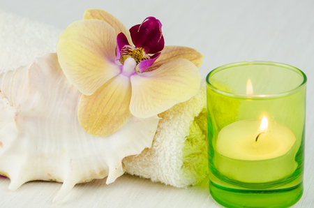 spa and wellness concept with orchid flower, shell and towelの写真素材