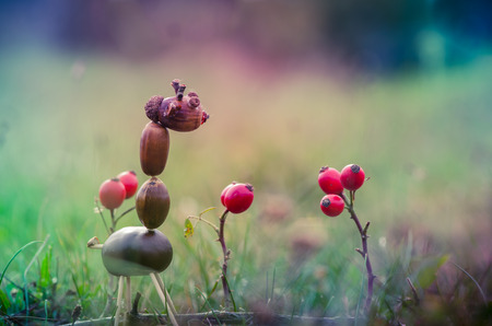 creative handmade toy made of chestnutの写真素材