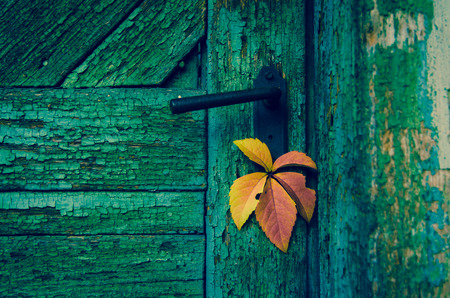 old wooden door with lock and colorful autumn leafの写真素材