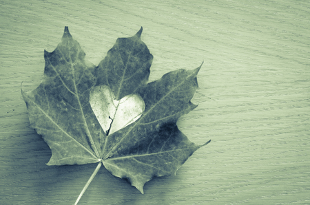 colorful autumn leaves and engraved heart symbol tone effectの写真素材