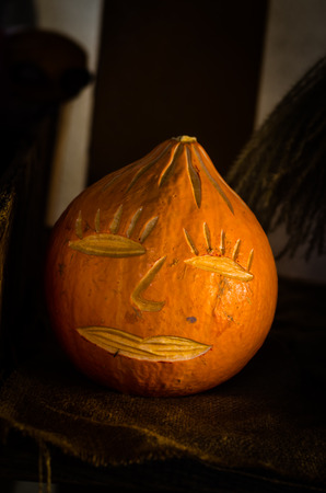 two orange halloween pumpkins in autumn gardenの写真素材