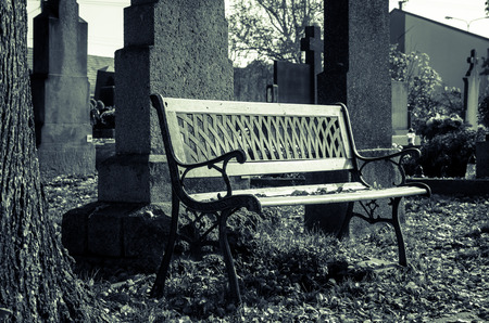 bench in the cemetery at nightの写真素材