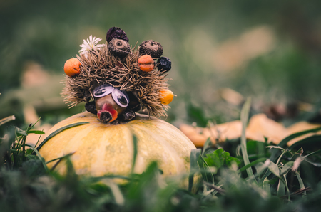 lovely autumn hedgehog figure made of chestnut posing in the orange pumpkin in green grassの写真素材